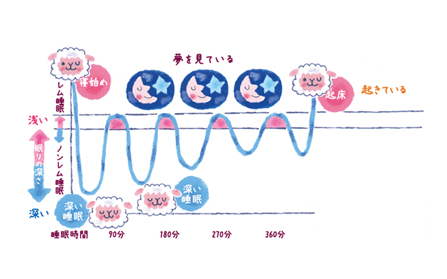 最後に仰向き、横向きのバランスをとる