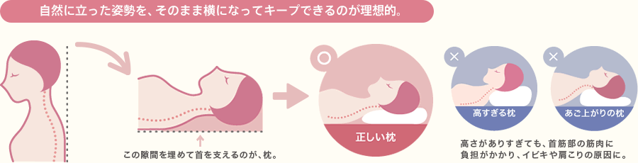 まくらは仰向きと横向きの両方に合わせてバランスをとることが大事です。