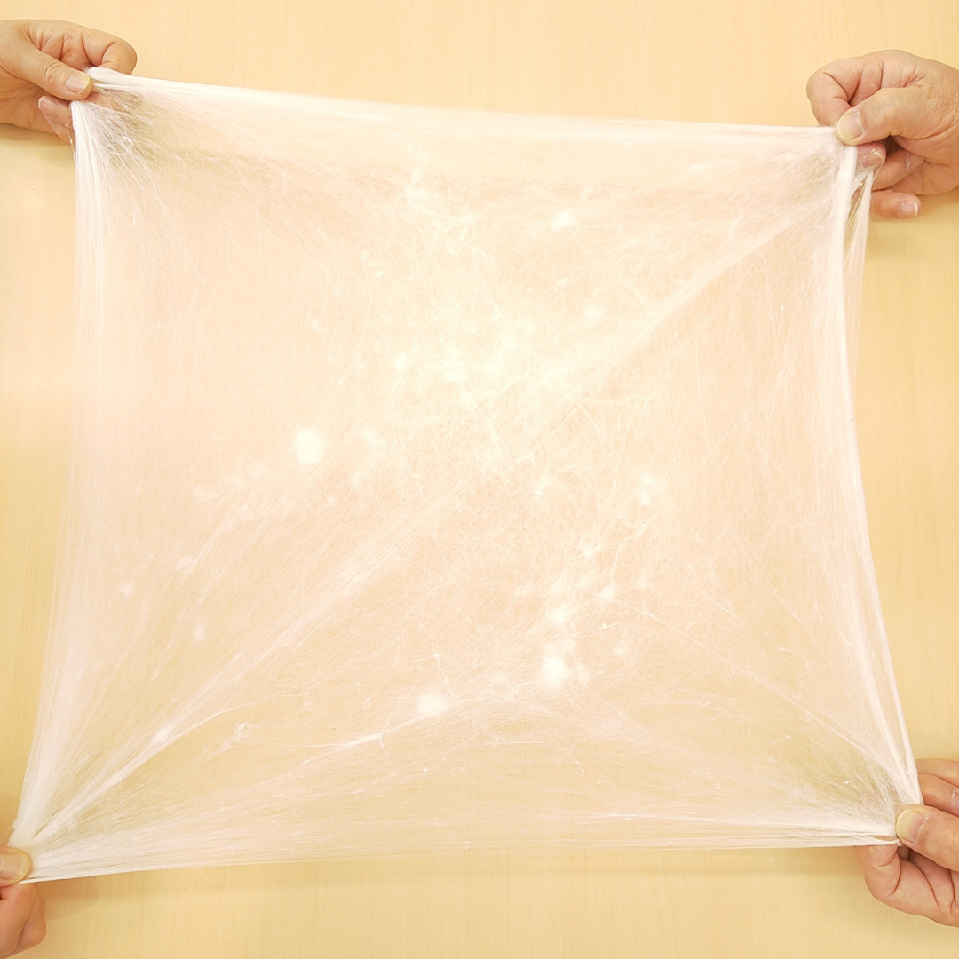 袋真綿を挽いて重ねていくことで空気をたくさん含む真綿ができます